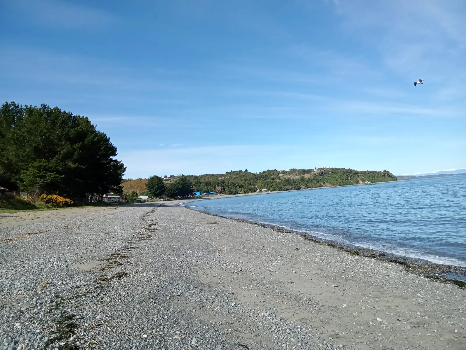 Entorno Lodge Colaco